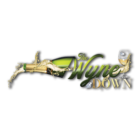 thewynedownllc.com